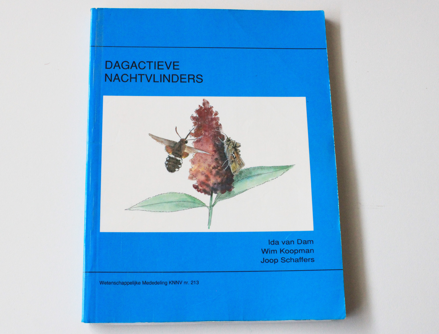 dagactieve nachtvlinders04-1